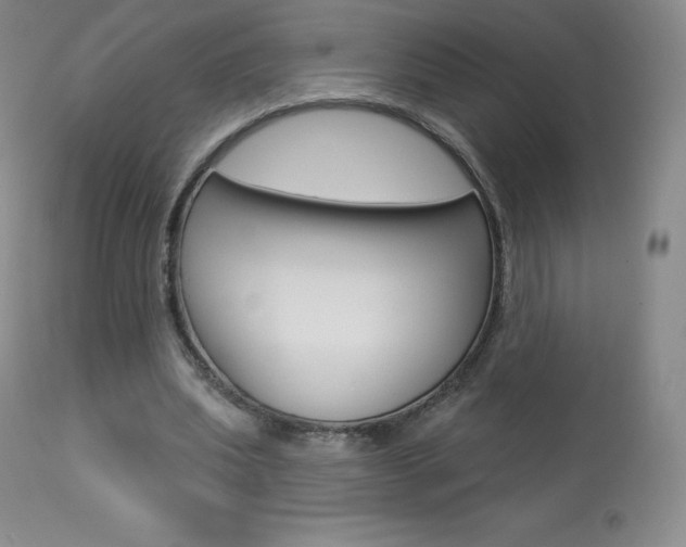 X0000113920439200909241333