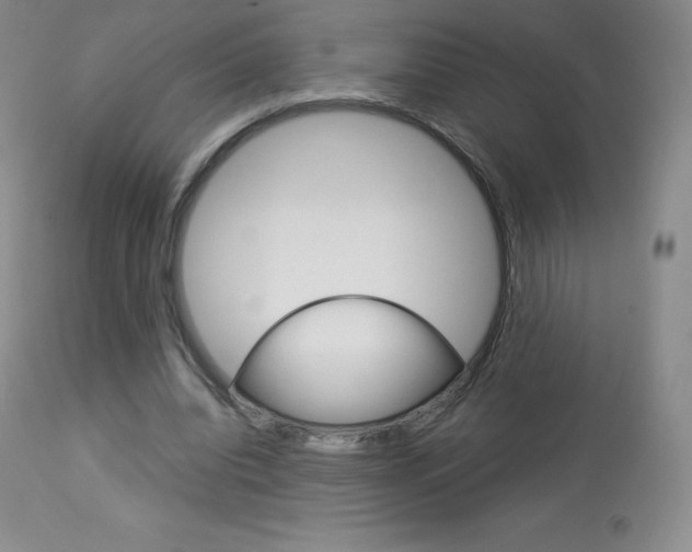 X0000113920440200909241333