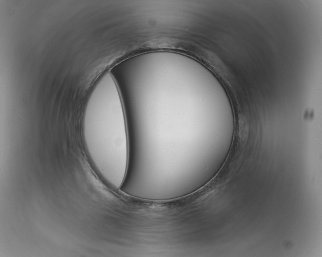 X0000113920441200909241333