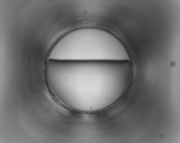 X0000113920442200909241333