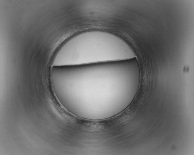 X0000113920443200909241333