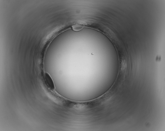 X0000113920444200909241333