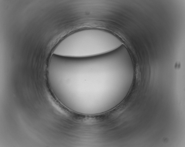 X0000113920445200909241333