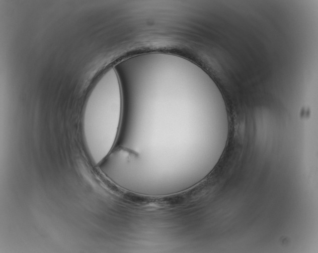 X0000113920447200909241333