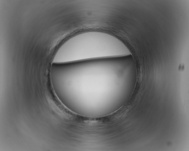 X0000113920448200909241333