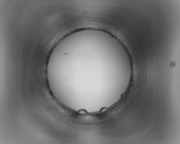 X0000113920449200909241333