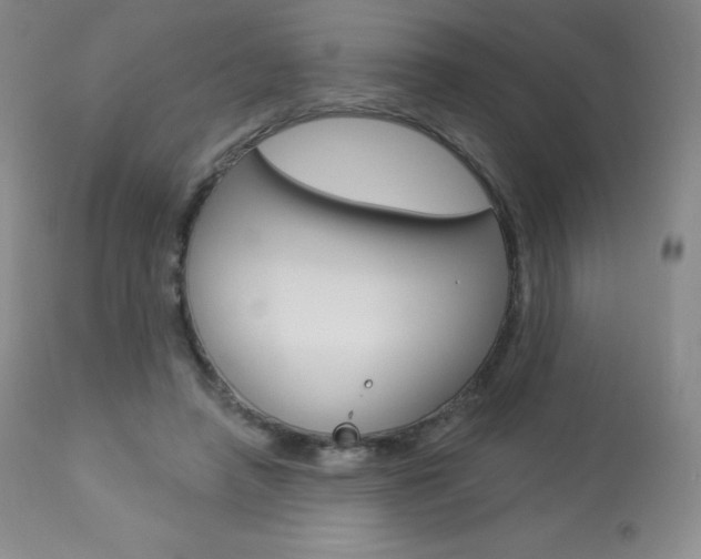 X0000113920450200909241333