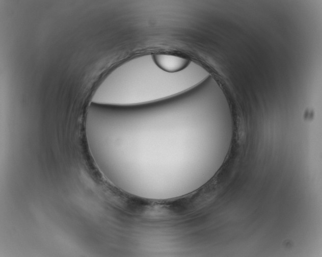 X0000113920451200909241333