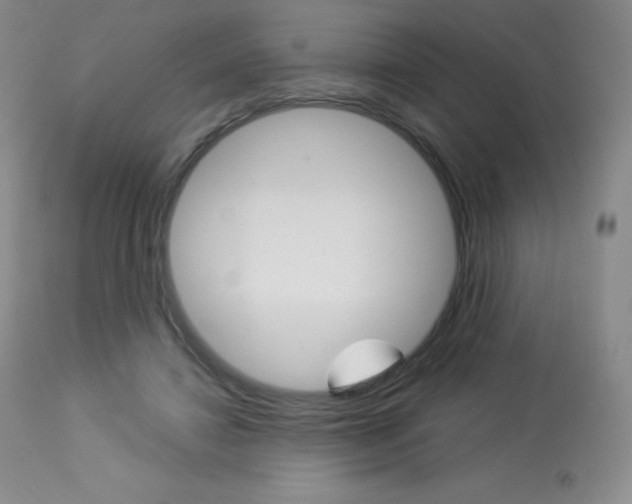 X0000113920452200909241333