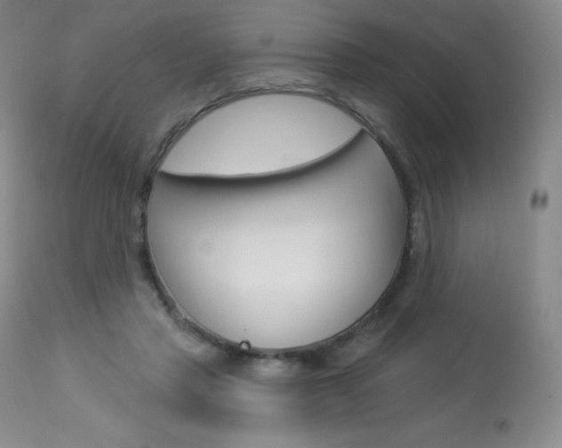 X0000113920453200909241333