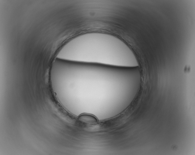 X0000113920454200909241333