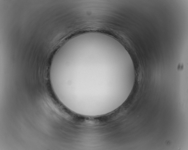 X0000113920455200909241333