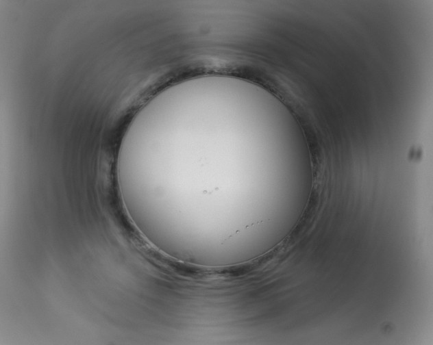 X0000113920456200909241333