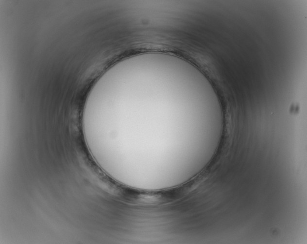 X0000113920457200909241333