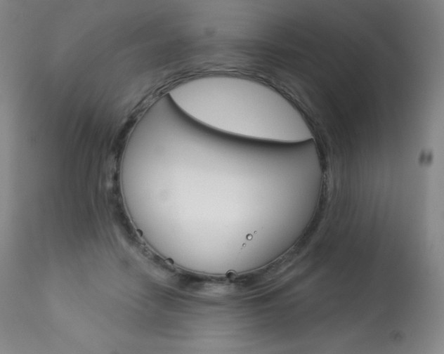 X0000113920458200909241333