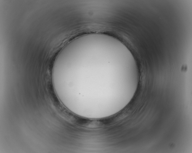 X0000113920459200909241333