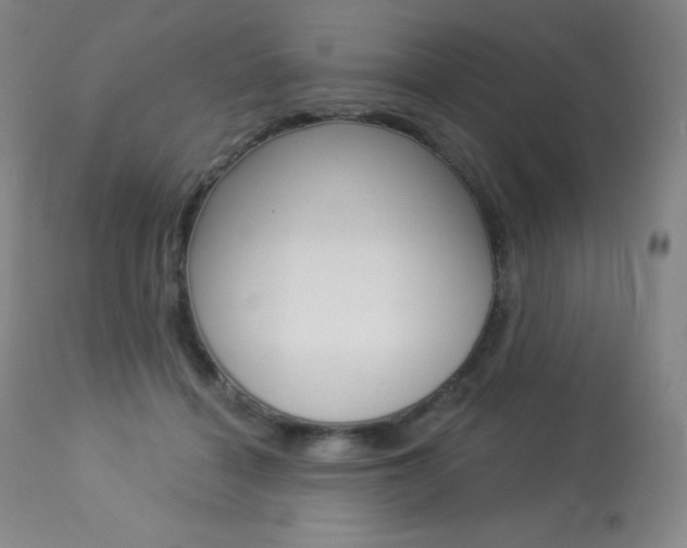 X0000113920460200909241333