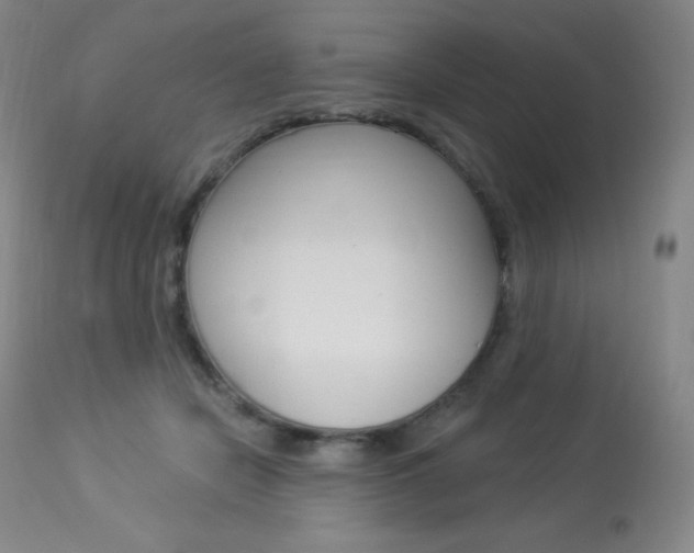 X0000113920462200909241333