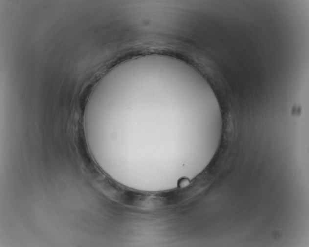 X0000113920463200909241333