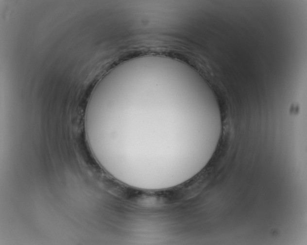 X0000113920464200909241333