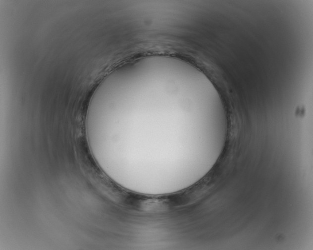 X0000113920465200909241333