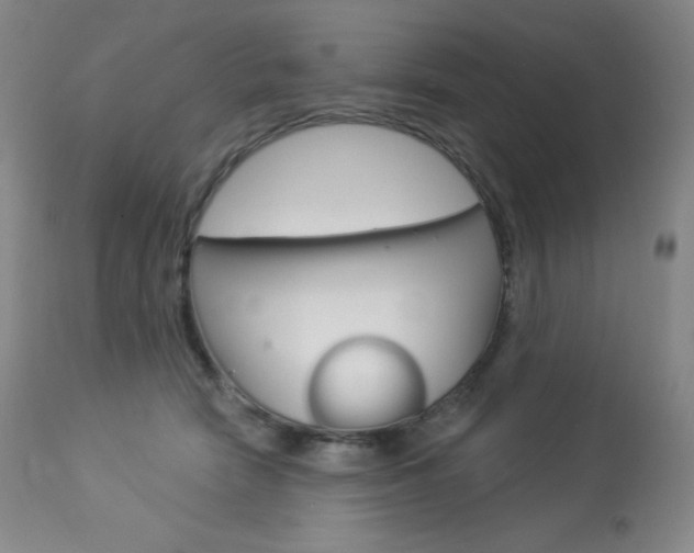 X0000113920466200909241333