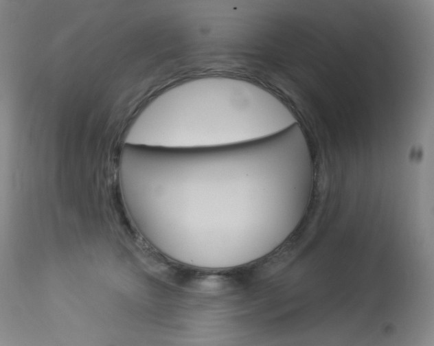 X0000113920467200909241333