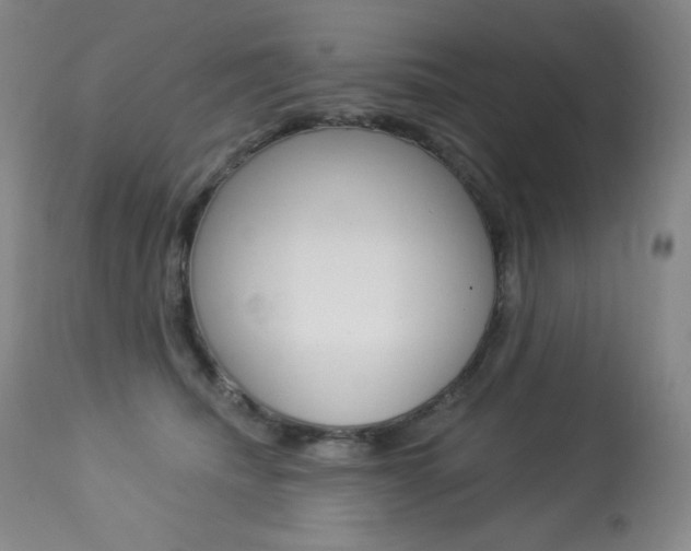 X0000113920468200909241333