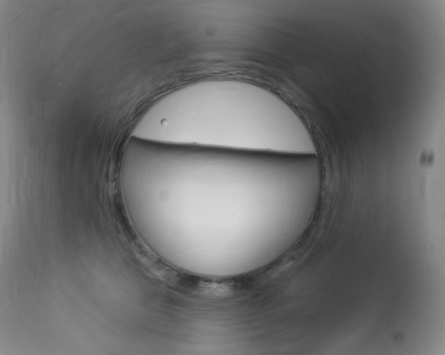 X0000113920469200909241333