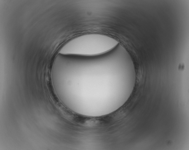 X0000113920470200909241333