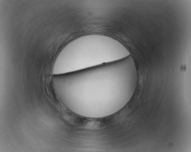 X0000113920471200909241333