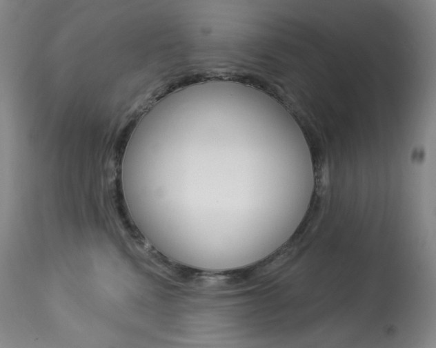 X0000113920472200909241333