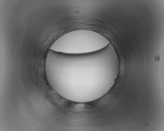 X0000113920473200909241333