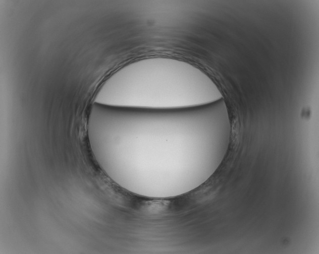 X0000113920474200909241333