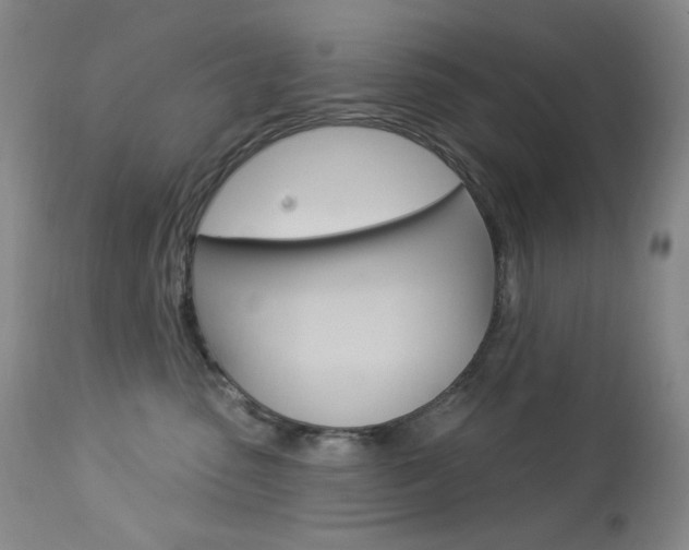 X0000113920475200909241333