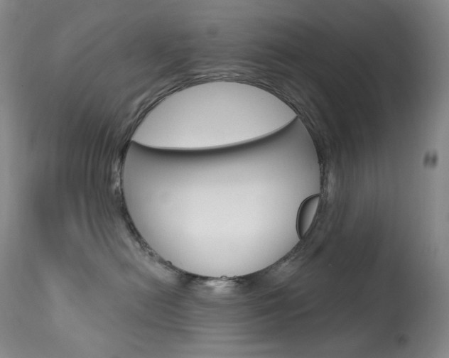 X0000113920478200909241333