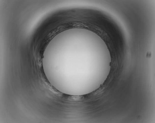 X0000113920479200909241333