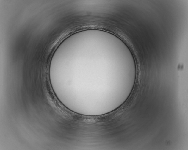 X0000113920482200909241333