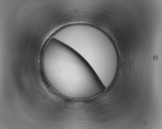 X0000113920483200909241333