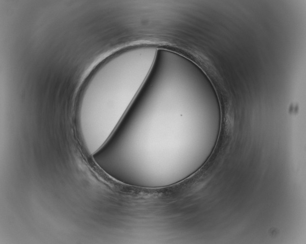 X0000113920484200909241333