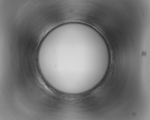 X0000113920485200909241333