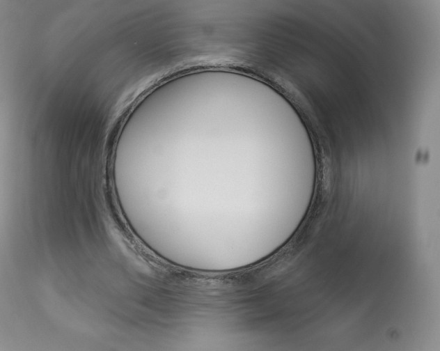 X0000113920486200909241333