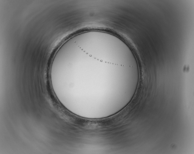 X0000113920487200909241333