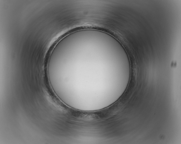 X0000113920488200909241333