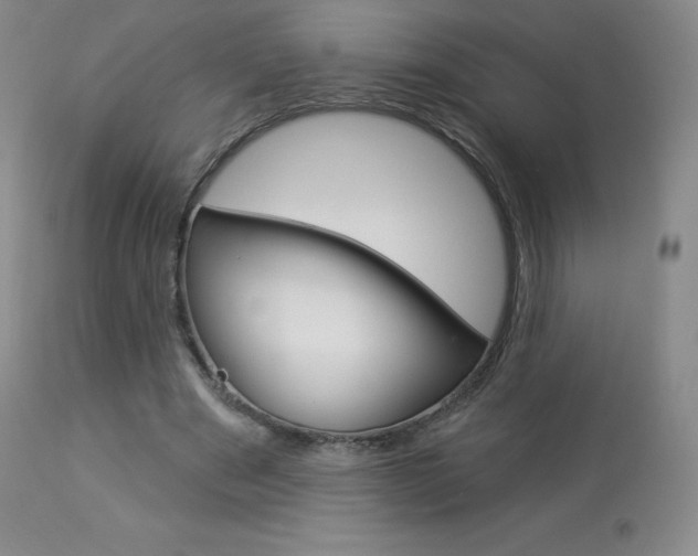 X0000113920489200909241333