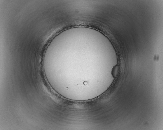 X0000113920490200909241333