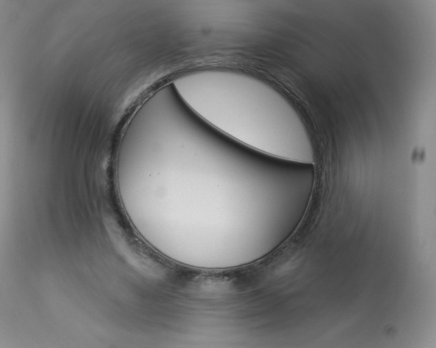 X0000113920491200909241333