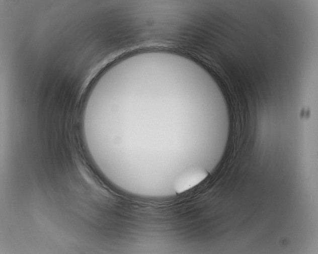 X0000113920492200909241333