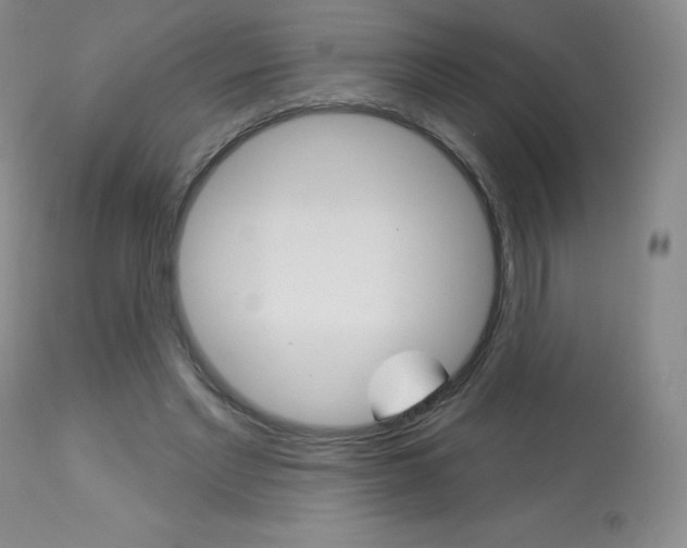 X0000113920493200909241333