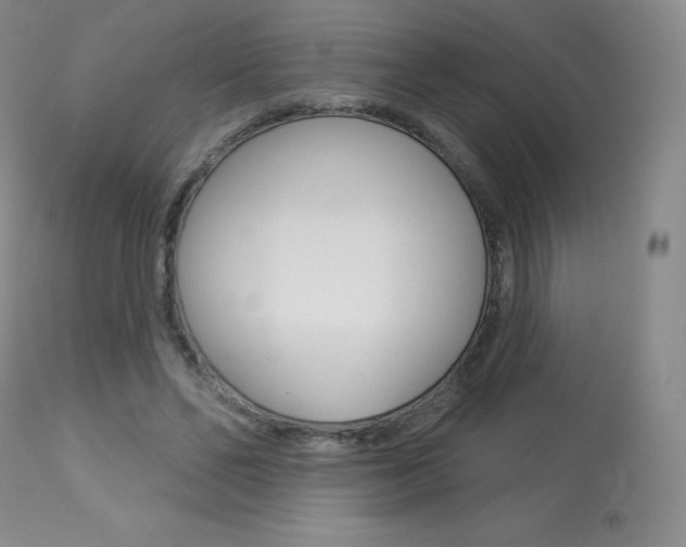 X0000113920494200909241332